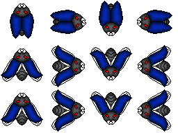 Kabutomushi